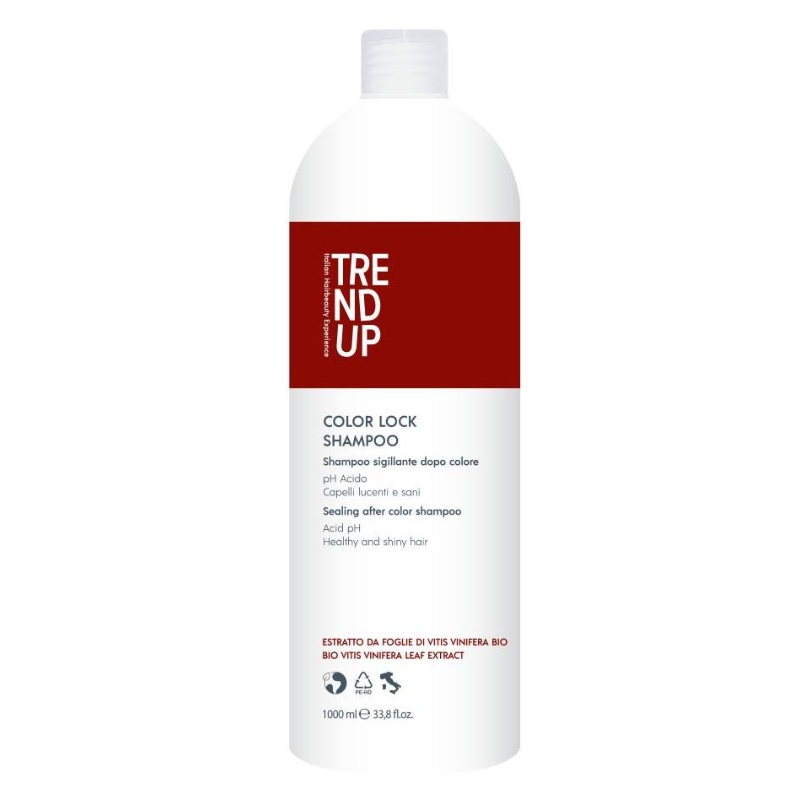 Trend Up Color Lock šampón pro barvené vlasy 1000 ml