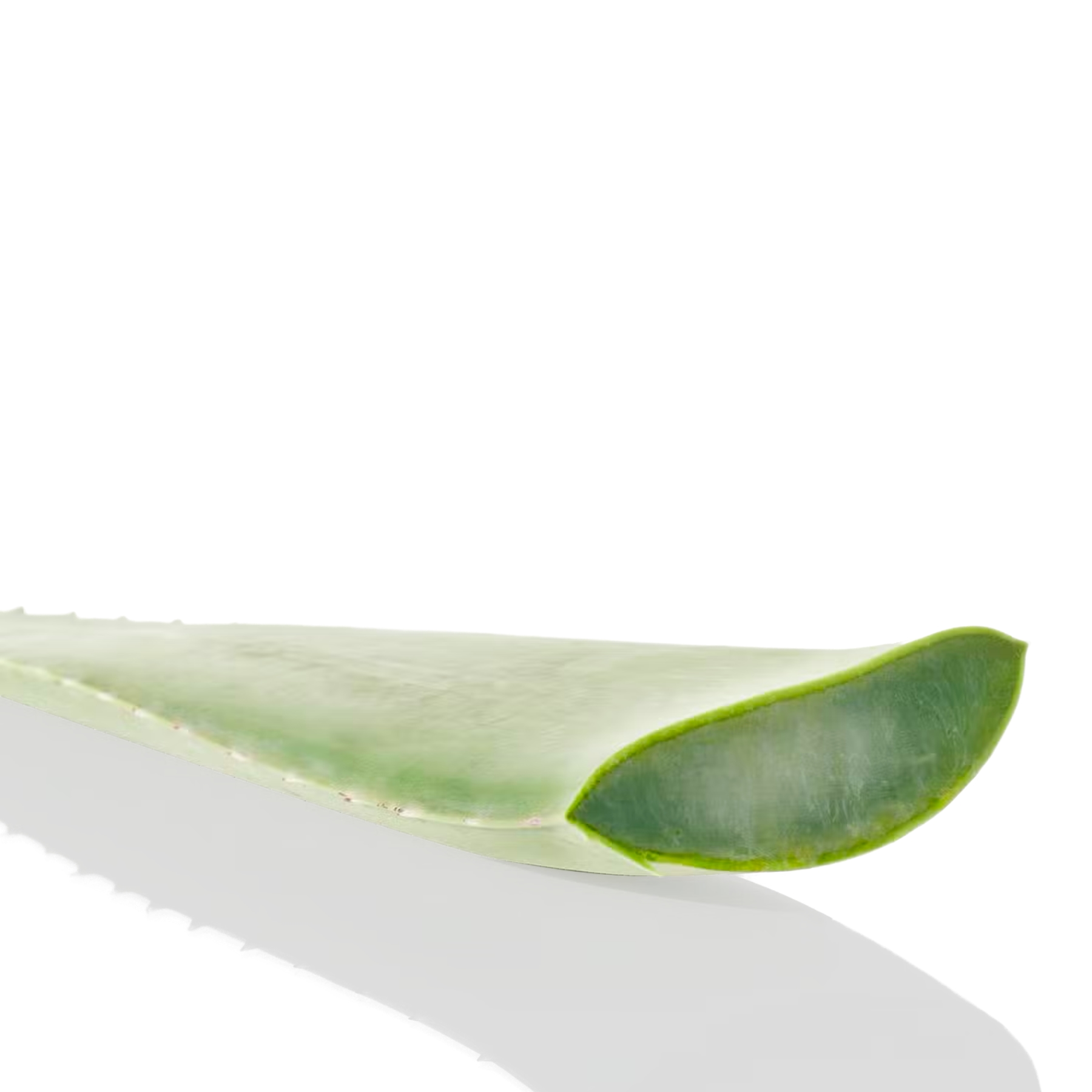 Byphasse Sensi-fresh tonikum pro citlivou pleť s aloe vera 500 ml