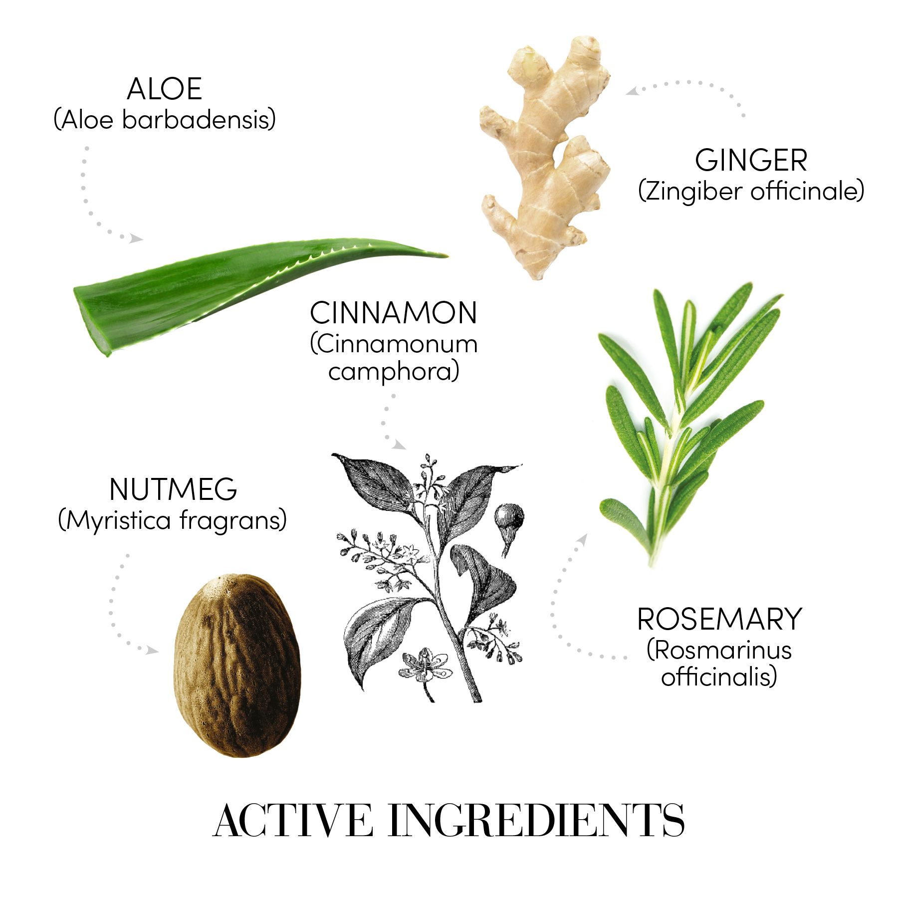 Medavita Lotion Concentrée Homme kosmetická sada proti padání vlasů pro muže