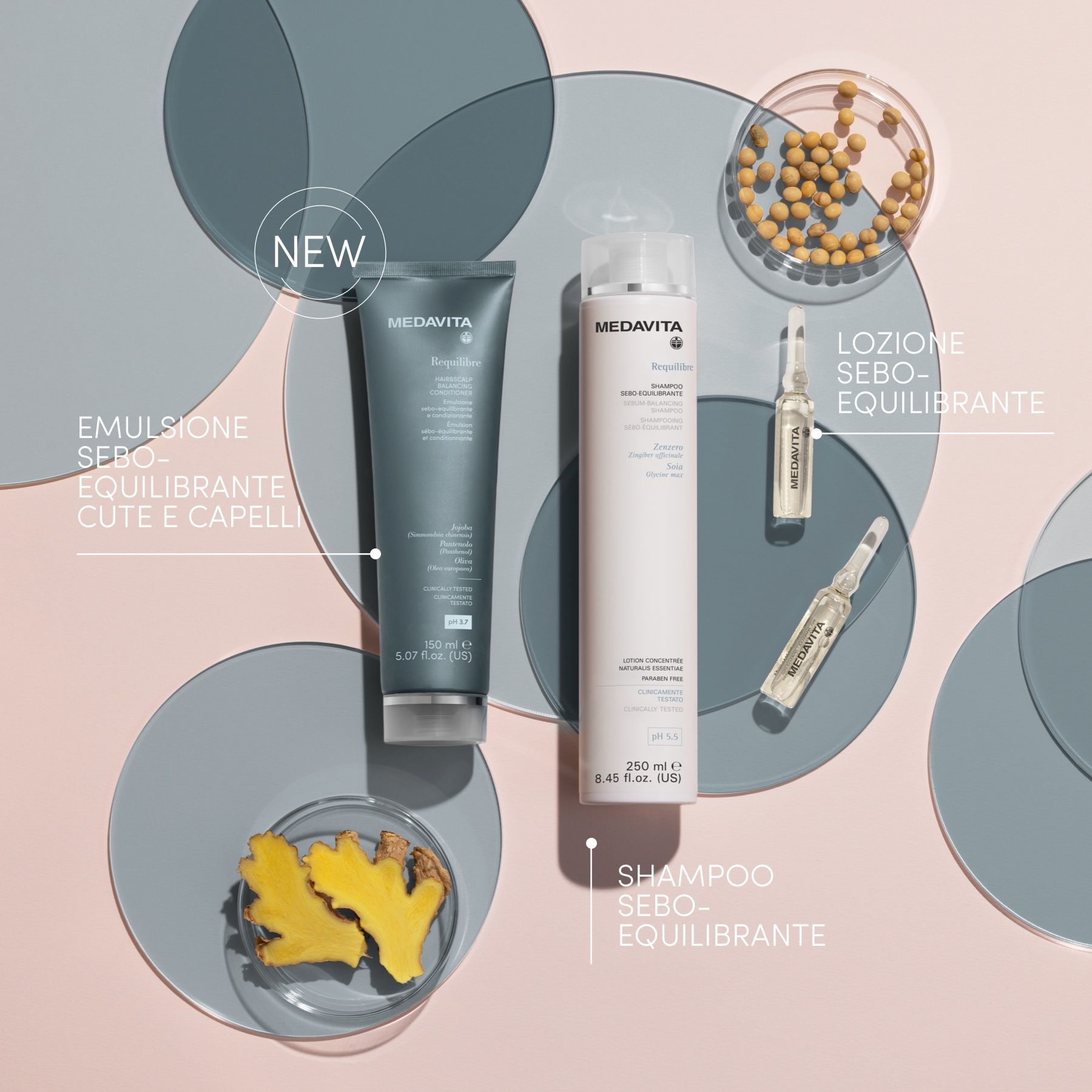 Medavita Requilibre kosmetická sada pro mastné vlasy