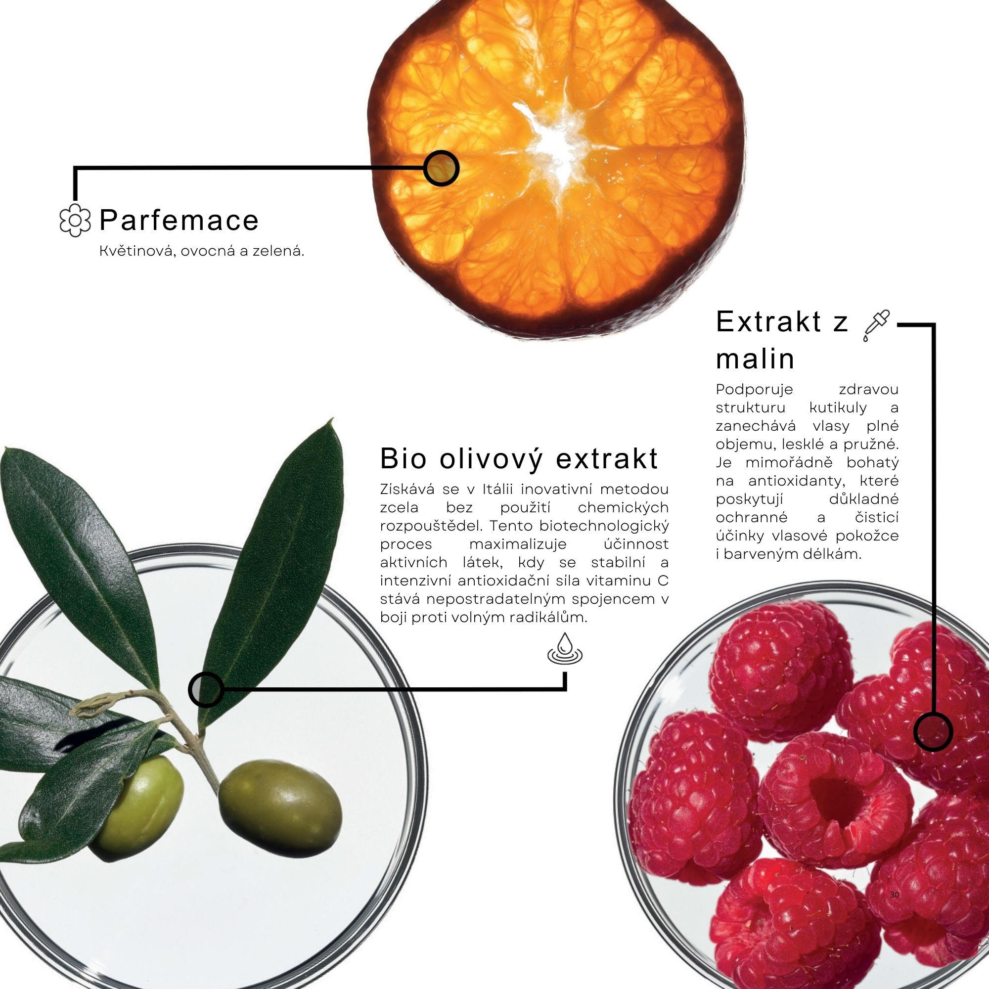 Framesi COLOR PROTECT šampon pro barvené vlasy 250 ml