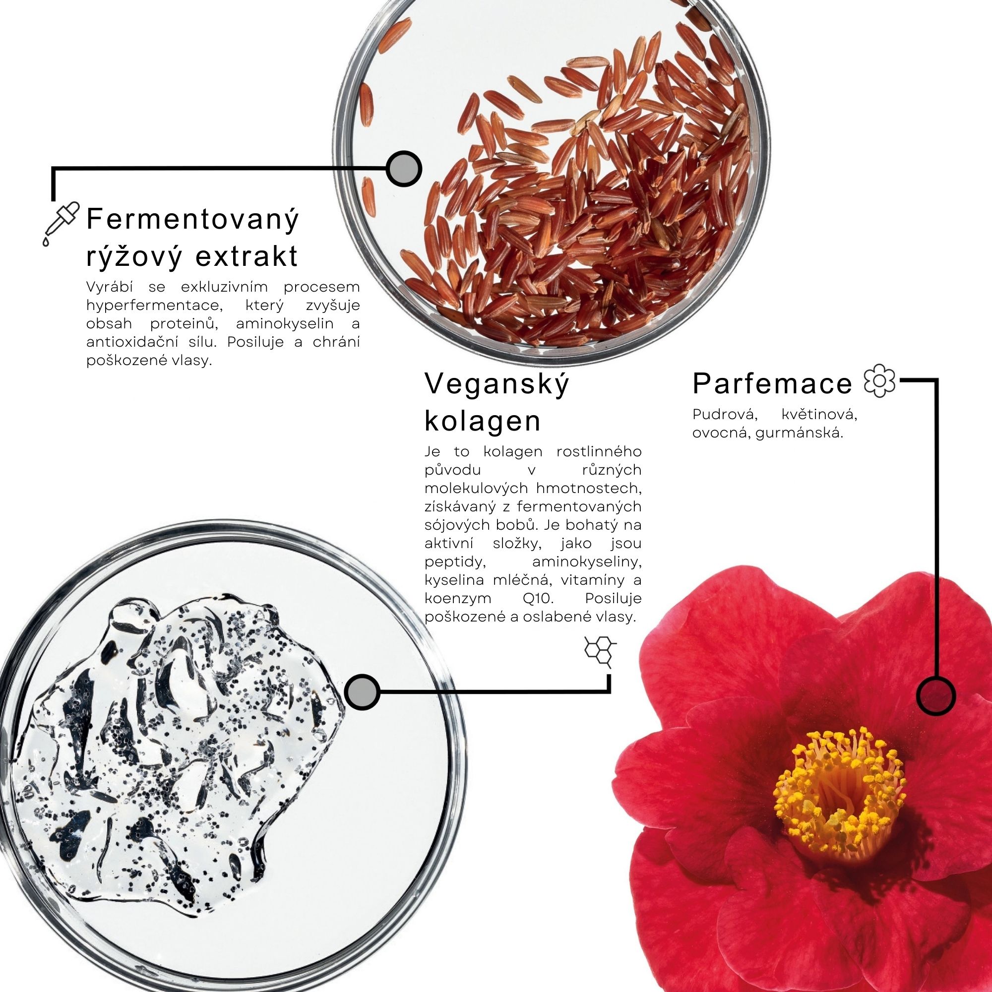 Framesi RESTRUCTURE šampon pro extra poškozené vlasy 250 ml