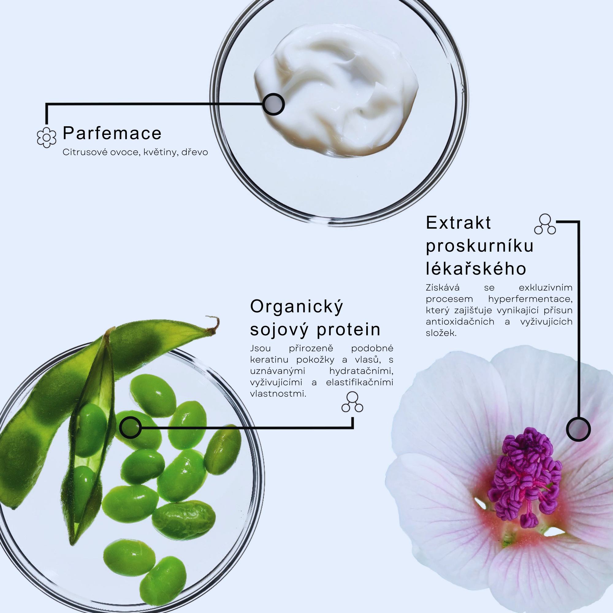 Framesi LOVE EXTENSION šampon pro prodloužené vlasy 250 ml