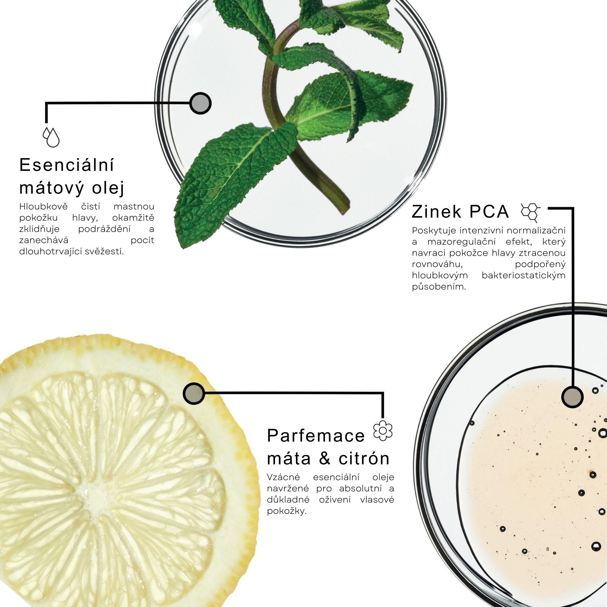 Framesi BALANCE šampon na mastné vlasy 250 ml