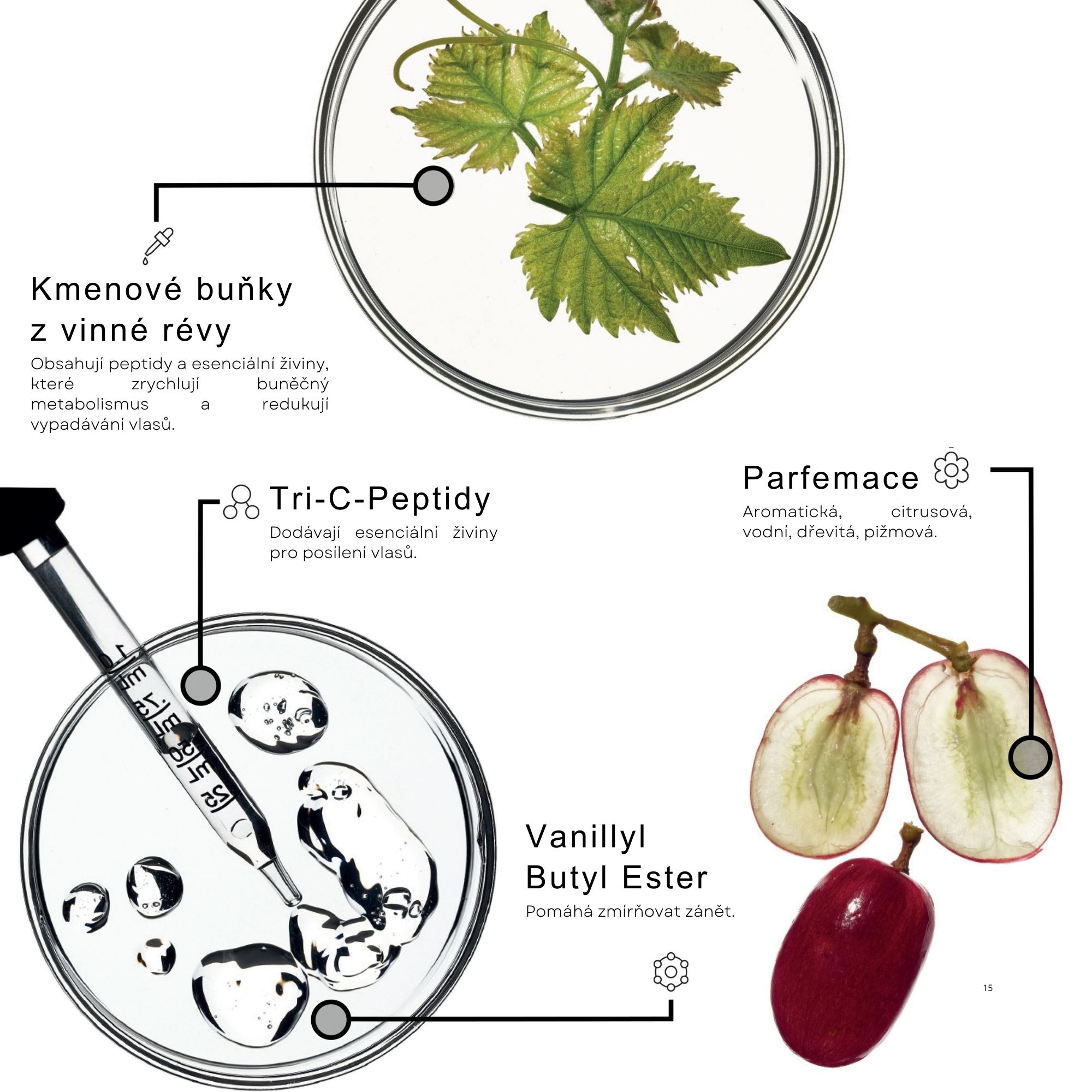 Framesi REINFORCING šampon proti padání vlasů 1000 ml