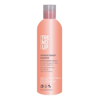Trend Up Remedy šampón pro poškozené vlasy 300 ml